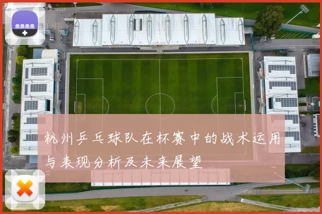 杭州乒乓球队在杯赛中的战术运用与表现分析及未来展望
