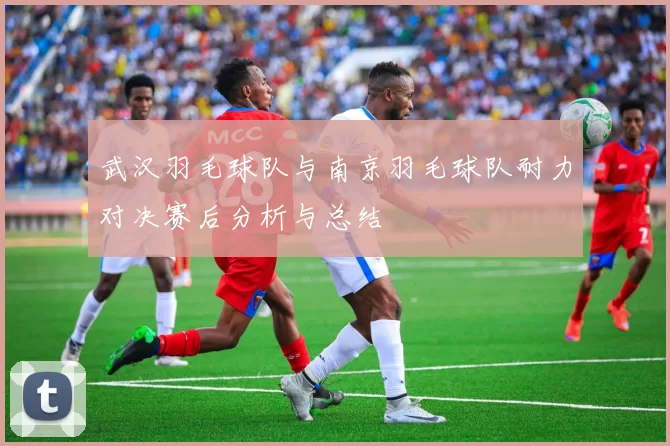 武汉羽毛球队与南京羽毛球队耐力对决赛后分析与总结