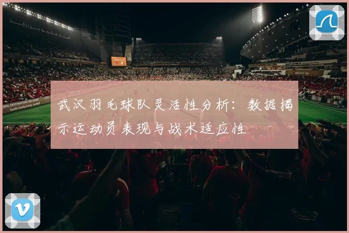 武汉羽毛球队灵活性分析：数据揭示运动员表现与战术适应性