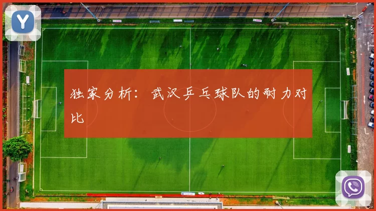 独家分析：武汉乒乓球队的耐力对比