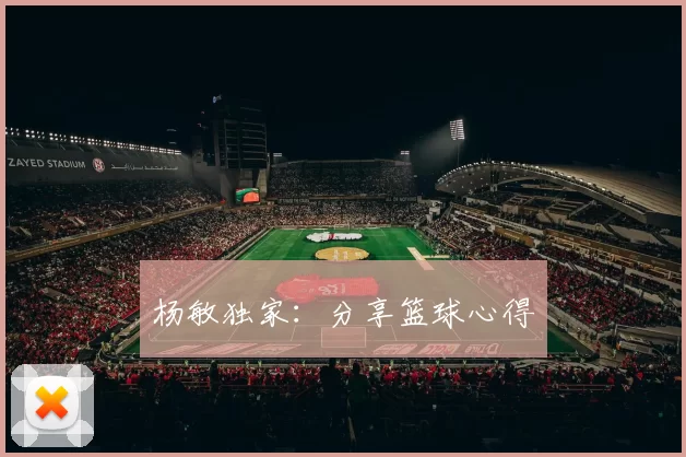 杨敏独家：分享篮球心得