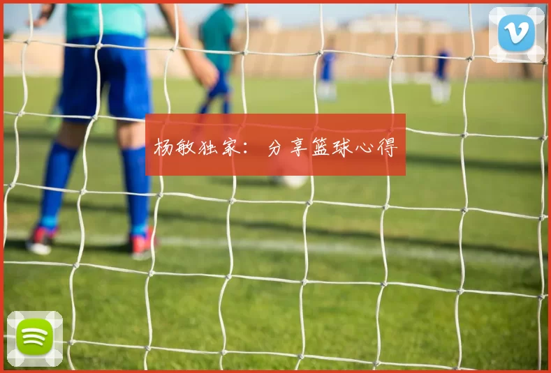 杨敏独家：分享篮球心得