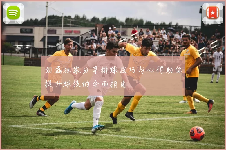 刘磊独家分享排球技巧与心得助你提升球技的全面指南