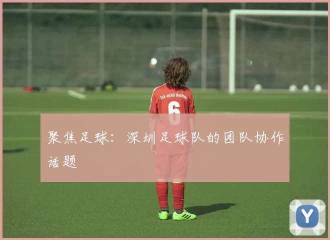 聚焦足球：深圳足球队的团队协作话题