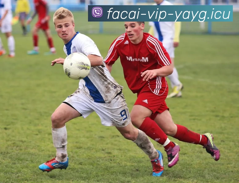 星空体育服务体系